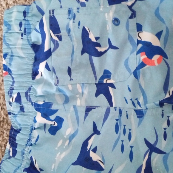 Boys shorts & swim trunk bundle - Picture 9 of 12